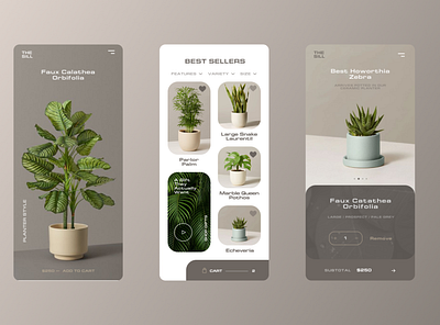 The Sill / Plant App Cancept Ui app art branding design graphic design minimal ui ux web website