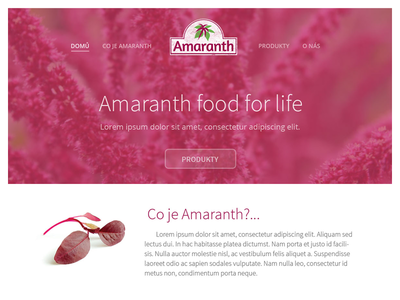 Amaranth - food for life