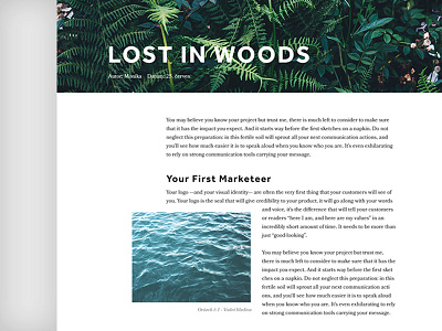 Blog Article - WIP article bloc blog green grid in lost magazine sans serif serif woods