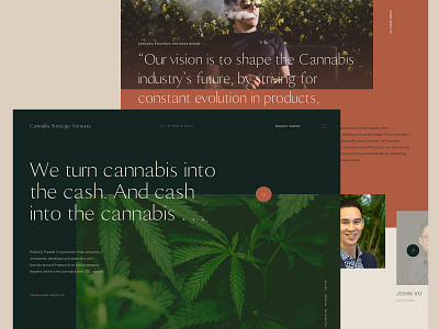 Cannabis Strategic Ventures cannabis green grid venture capital web webdesign