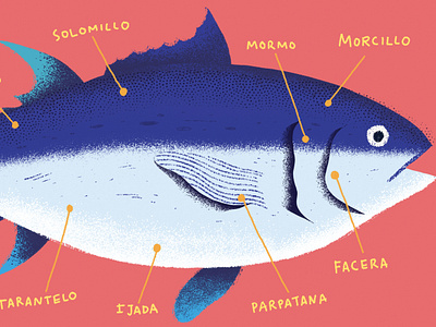 Tuna animal art character editorial editorial illustration fish illustration ocean photoshop tuna