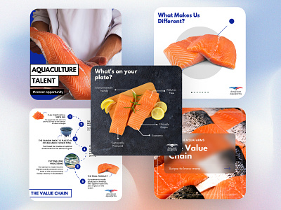 The future of American Salmon Farming 3d animation branding design graphic design illustration logo motion graphics typography ui ux website design