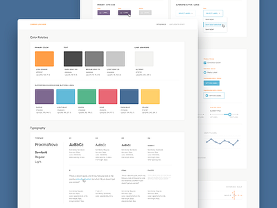 UI Style Guide branding colors forms guide healthcare identity type typography ui