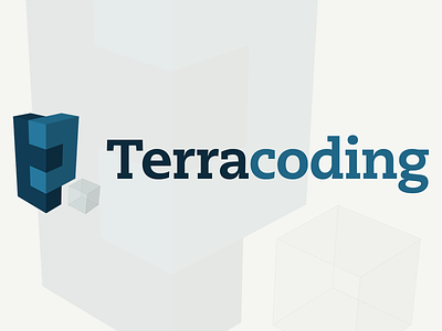 Terracoding brand logo shapes terracoding