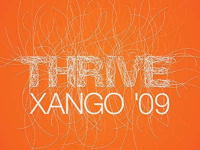 XANGO International Convention, 09 convention fibers logo orange