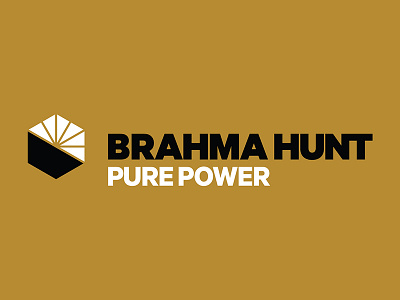 Brahma Hunt Logo black business cards energy explorations gold logo sketches solar sun