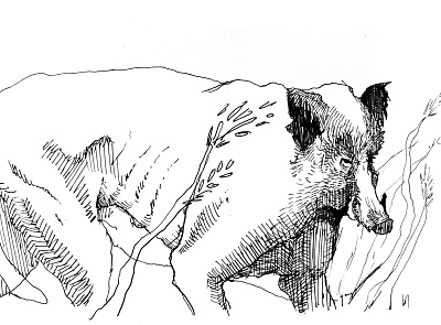 kanec illustration ink