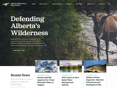 Rebound - Alberta Wilderness Association alberta calgary canada environment landing page marketing web design