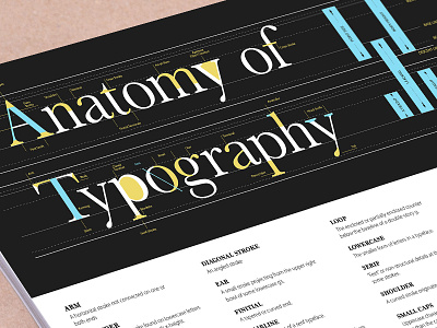 Anatomy of Typography Poster anatomy fonts poster printable printable poster typo typography typography glossary typogrpahy anatomy
