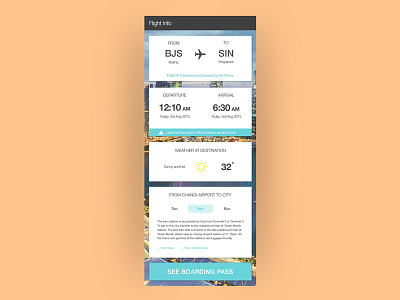 Flight / travel info app app flight mobile plane travel travelapp ui userinterface ux web