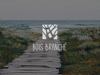 Bois Branché handwritten logo typography white wood