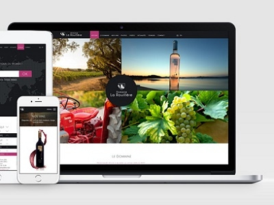 South of France vineyard photo responsive ui ux webdesign