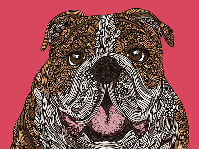 The English Bulldog design dog portrait illustration pen and ink portrait vector