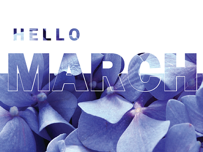 Hello March art artwork digitalart digitalartwork digitalcreation flowers graphicdesign graphicdesigner lavendar typography typography design wallpaper