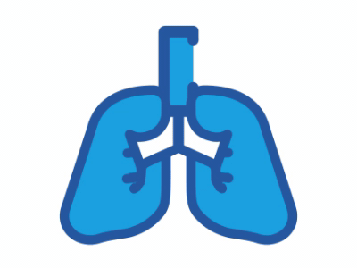 Lungs icon animation by Newex Design on Dribbble