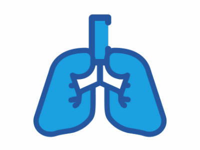 Lungs icon animation 2d animation animated gif illustration lungs lungs animation minimal