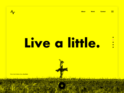 Live A Little bitmap bright clean landing page monochromatic responsive simple sketch typography ui ux web