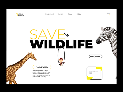 Wild Life concept