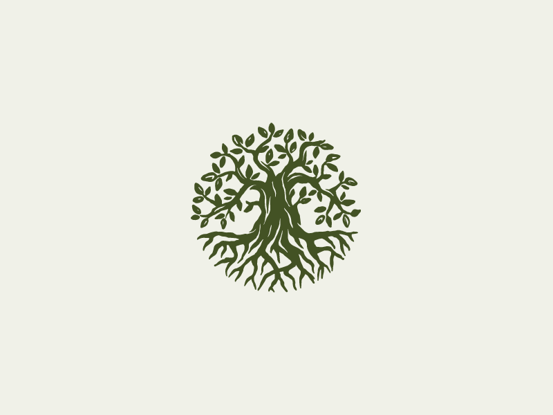 Round olive tree by Darina Darvin on Dribbble