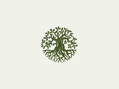 Round olive tree logo logotype nature olive tree