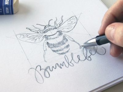 bumblebee sketch bumblebee illustration logo logotype sketch