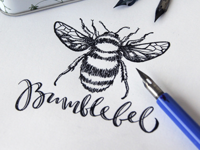 Bumblebee final bumblebee engraving illustration ink logo logotype