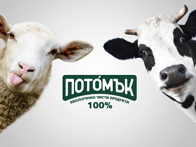 Potomuk Milk | Brand identity brand identity branding graphicdesign layout design logo logodesign logodesigner logotype package design vector