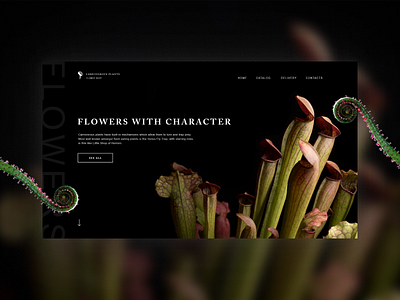 Carnivorous plant web site design