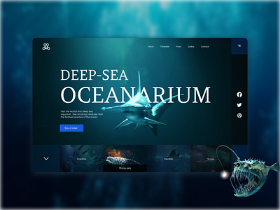 Oceanarium aquarium design fish oceanarium shot ui ux web design
