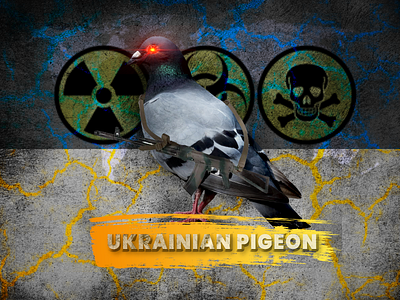 Ukrainian war pigeon