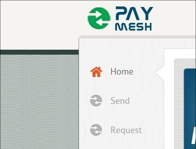 Paymesh Logo - Cash Tokens