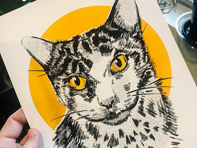 Suddenly In Riso animal cat drawing feline illustration ipad pro portrait printmaking procreate riso risograph