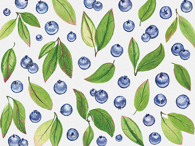 Watercolor Blueberries 2d berry blueberries food fruit illustration painting pattern watercolor