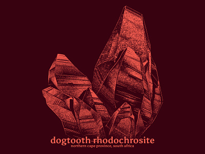 Rhodochrosite 2d crystal dogtooth gem gemstone illustration mineral rhodochrosite south africa specimen