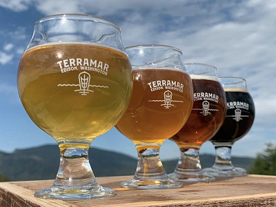 Terramar Glassware 2d beer brewery brewing cider craft glamour glass glasses glassware washington