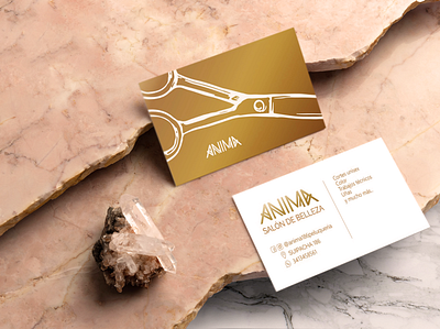 Anima card branding card design design logo design