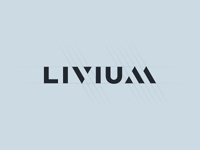 Livium branding logo typography wordmark
