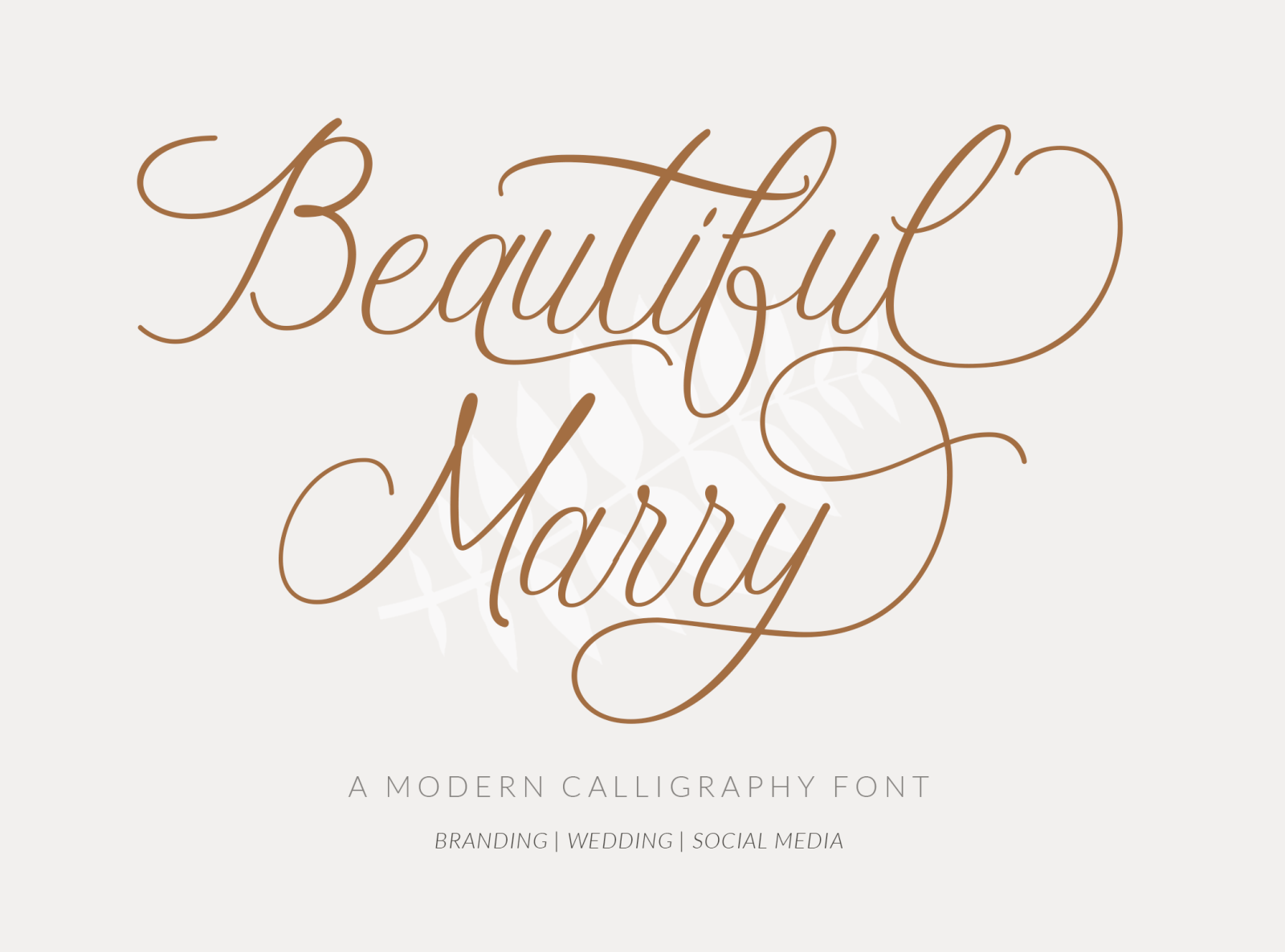 Beautiful Marry - A Modern Calligraphy Font by ahweproject on Dribbble