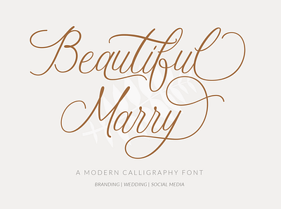 Beautiful Marry - A Modern Calligraphy Font handwritten