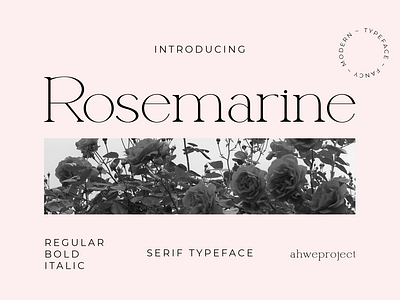 Rosemarine - Elegant and Clean Serif Font