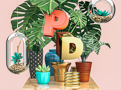 PD Series 3d art color depth dimension leaf leaves material plant render succulent vase