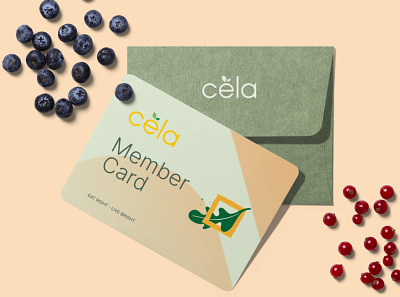 Envelope Cela branding design envelope healthy logo typography vector