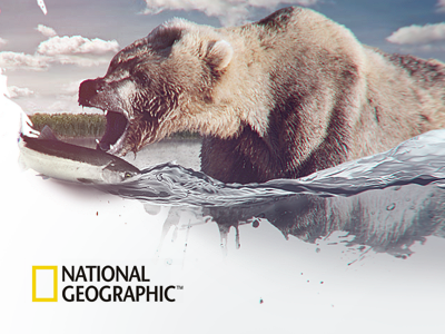 National Geopraphic bear evne geographic natgeo national salmon splash water