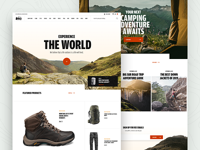 SHOPIFY WEBSITE DESIGN