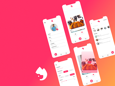 Tinder for pets design like swipe tinder ui uidesign uiinspiration uiux ux web