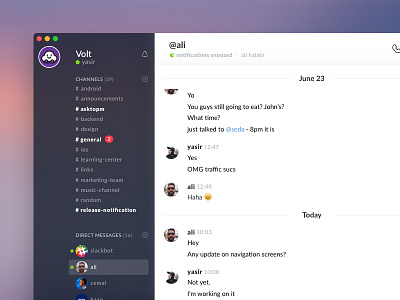 Slack Redesign Concept