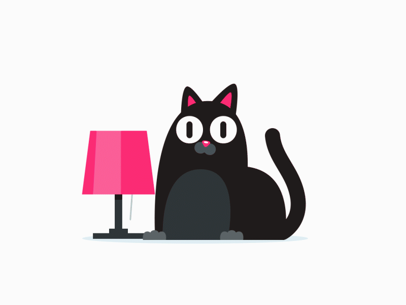 Cat Animation animation cat character gif illustration