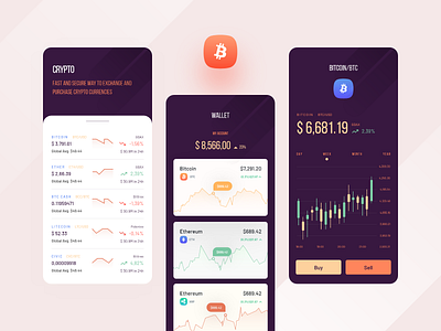 Crypto wallet app concept