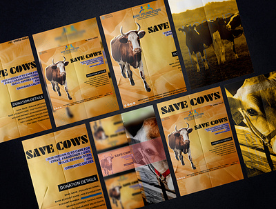 Worked For NGO: Save Animals, Save Cows