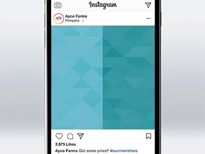 Instagram Promo Video advertising illustrator instagram motion graphics photoshop principle social media ui ux